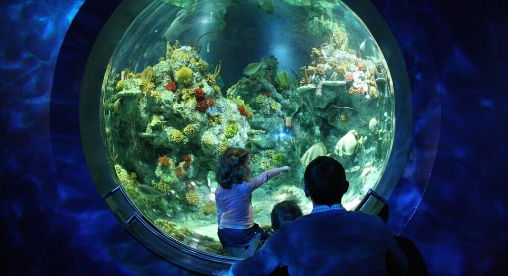 Kids in awe at the Bristol Aquarium, observing a variety of marine species including sharks and rays
